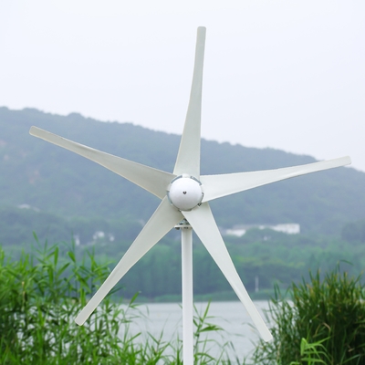 Turbine eoliche sistemi avanzati di energia ibrida eolica e solare per la produzione di energia domestica