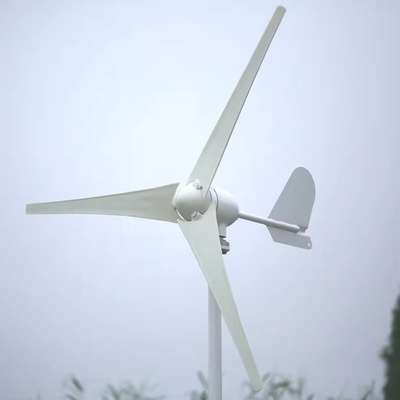 Sistema di energia eolica per abitazioni a 10 kW 48V/96V