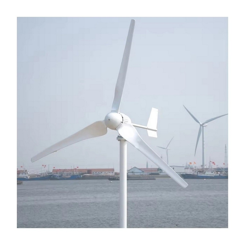 Sistema di energia eolica per uso domestico Sistema di generatore di energia per mulini eolici ibridi Vendita diretta 3KW/5KW/10KW
