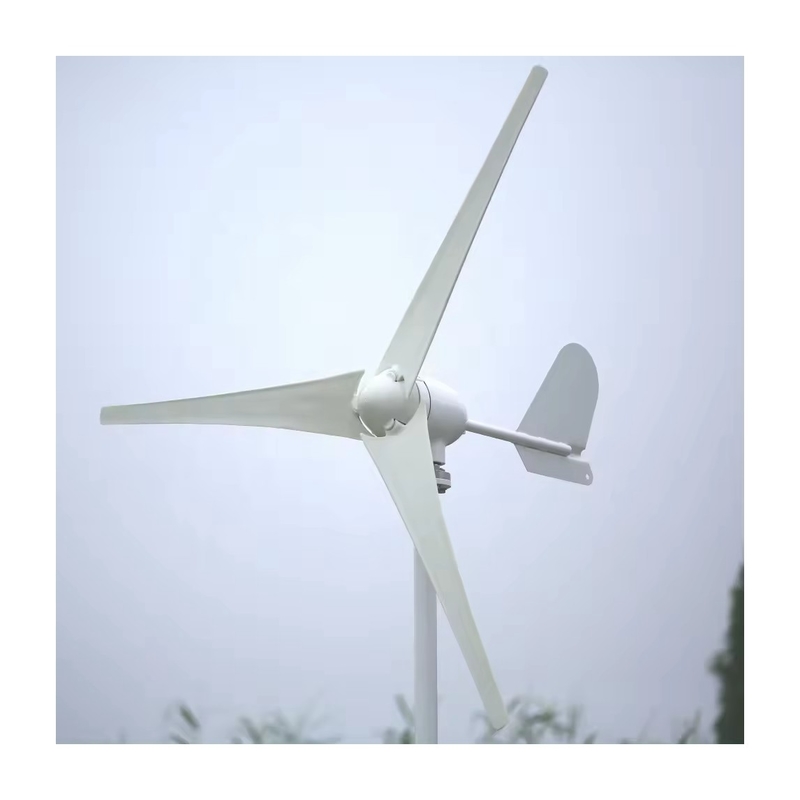 Sistema di generazione ibrida di energia eolica da 3 kW / 5 kW / 10 kW con lame di fibra di vetro rinforzate